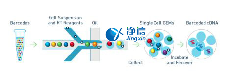 中國(guó)人自己的微流控單細(xì)胞測(cè)序儀來(lái)了！_微流控Drop-seq,微流控技術(shù)
