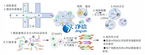 中國(guó)人自己的微流控單細(xì)胞測(cè)序儀來(lái)了！_微流控Drop-seq